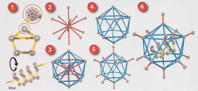 3D-Modelle, die mit dem Creator 1 gebaut werden können